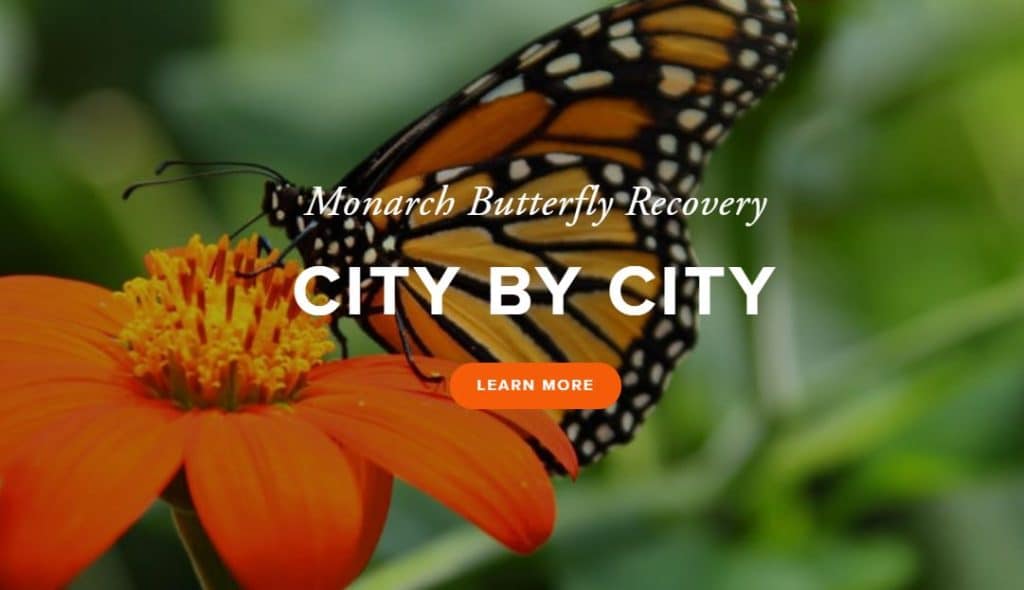 Monarch City Site